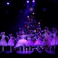 Photo 06